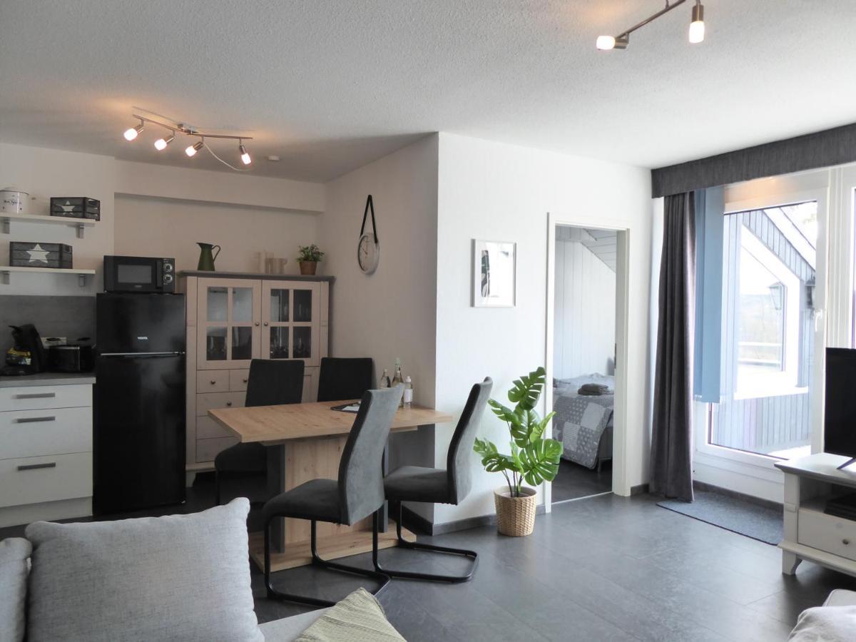 Apartment Citystar Winterberg Ferienwohnung 5 Pers Pool Sauna Ps4 Terrasse Near Bikepark Zewnętrze zdjęcie
